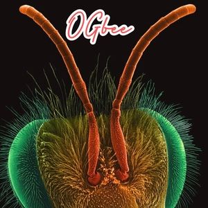 Meet your Posher, Neil